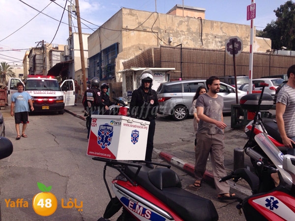 ta3n shejar 7sanbek (4).JPG